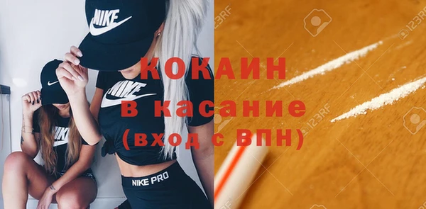 хмурый Инта