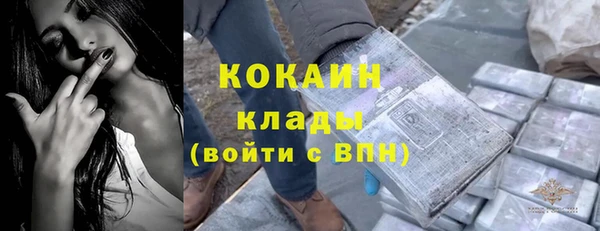 тгк Инсар