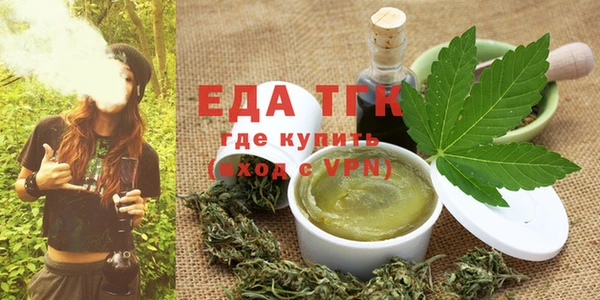 тгк Инсар