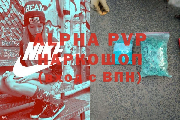 тгк Инсар