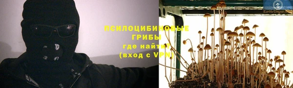 тгк Инсар