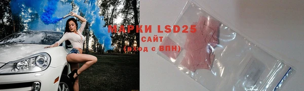 тгк Инсар