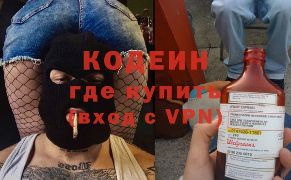 хмурый Инта