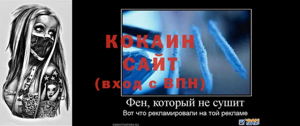 хмурый Инта