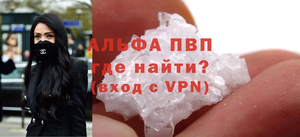 хмурый Инта