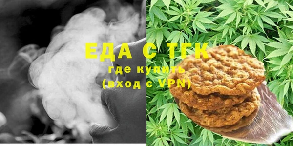 тгк Инсар