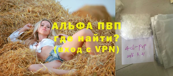 хмурый Инта