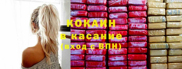 хмурый Инта