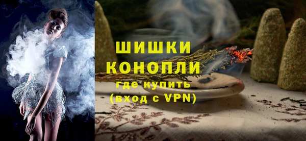 тгк Инсар