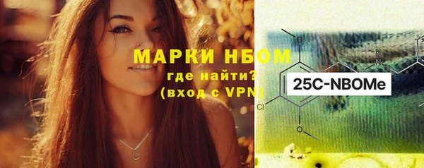 тгк Инсар