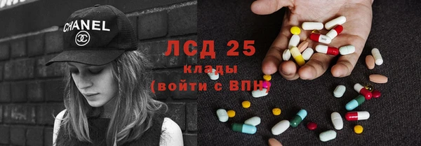 тгк Инсар